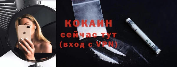 шишки Володарск